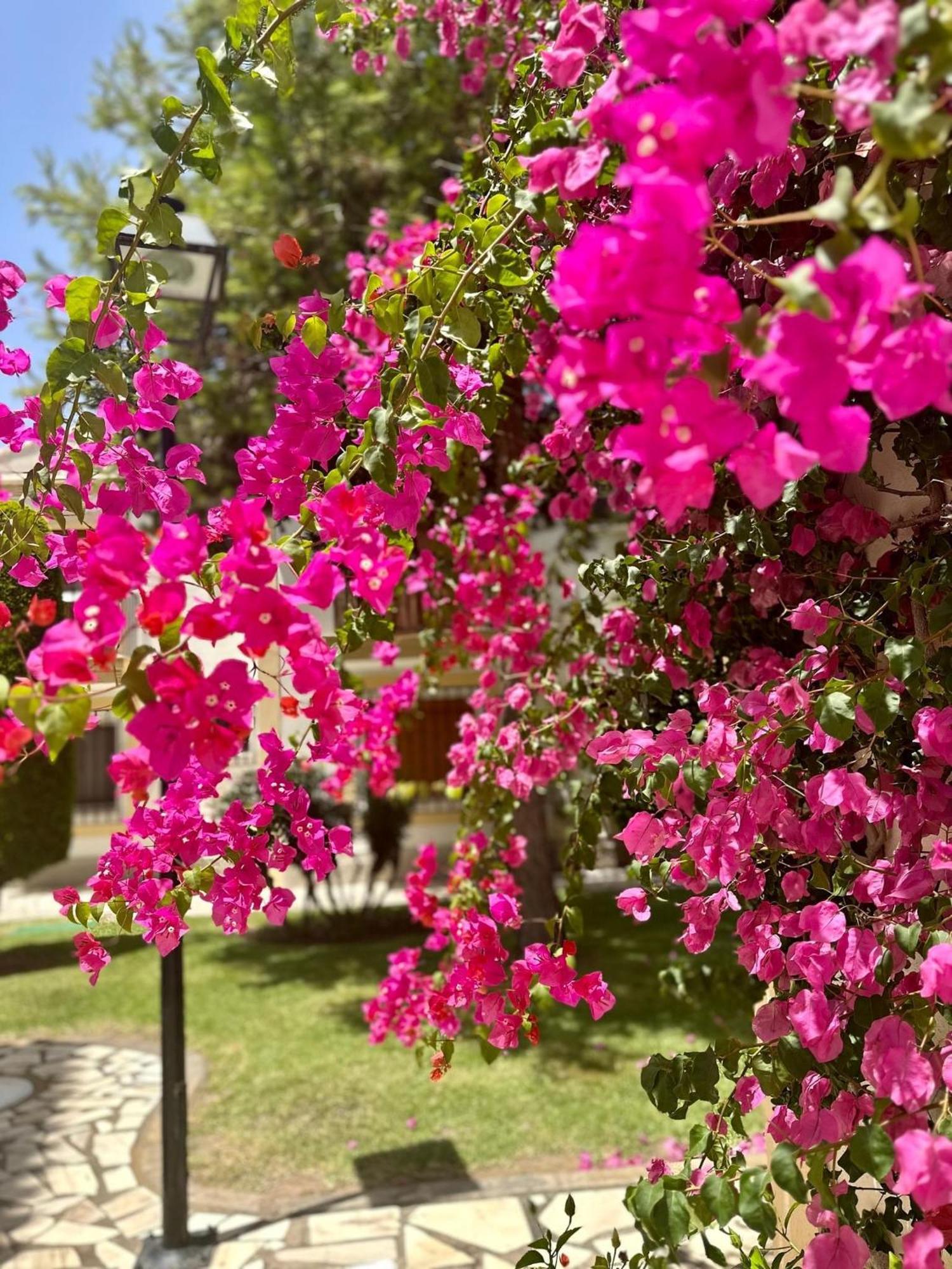 Casa Veranera Vera Costa Playas de Vera Εξωτερικό φωτογραφία