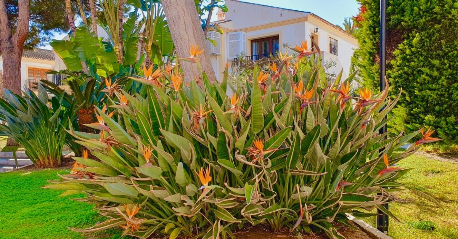 Casa Veranera Vera Costa Playas de Vera Εξωτερικό φωτογραφία