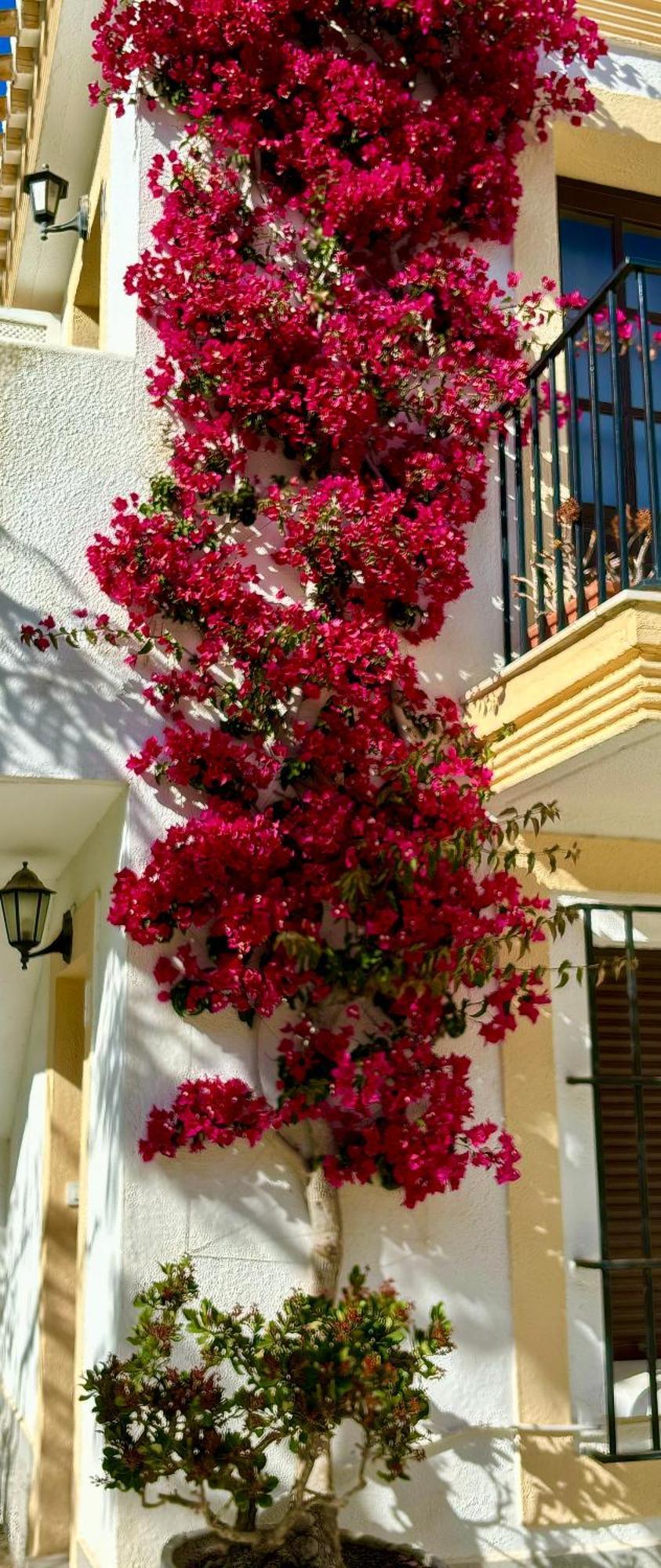 Casa Veranera Vera Costa Playas de Vera Εξωτερικό φωτογραφία