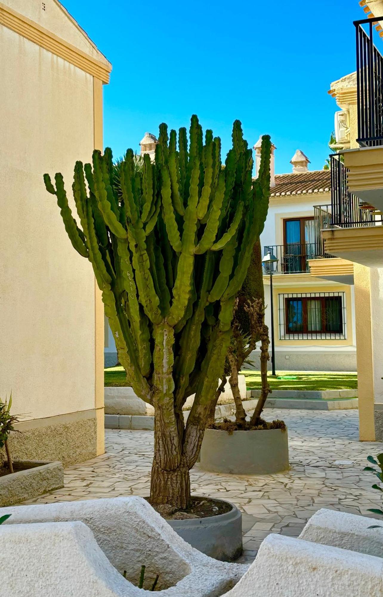 Casa Veranera Vera Costa Playas de Vera Εξωτερικό φωτογραφία