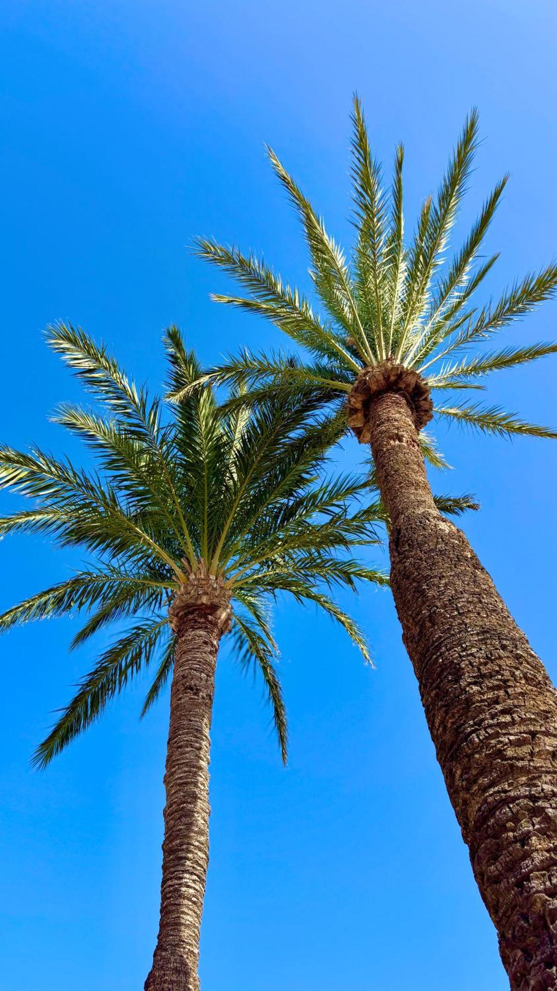 Casa Veranera Vera Costa Playas de Vera Εξωτερικό φωτογραφία